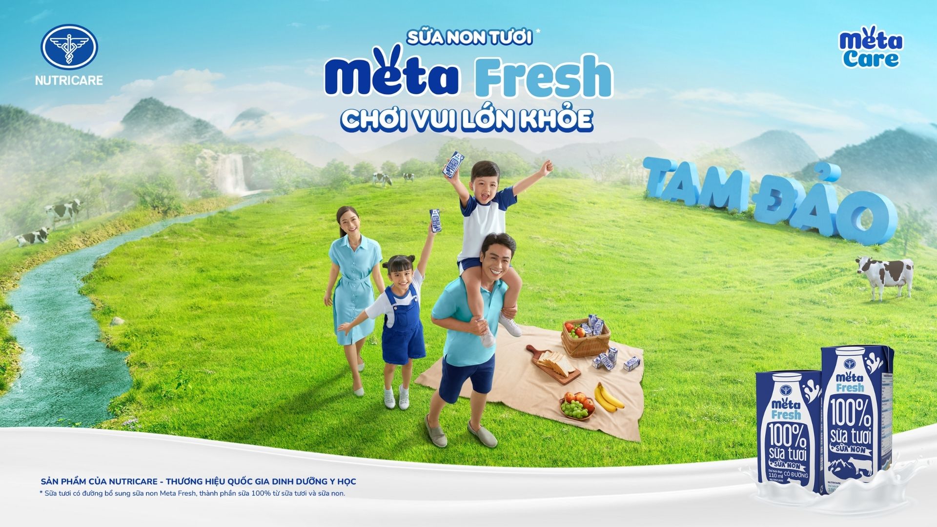 MetaFresh - Pencil Group